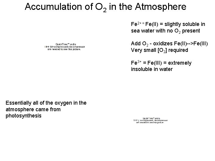 Accumulation of O 2 in the Atmosphere Fe 2+ = Fe(II) = slightly soluble Accumulation of O 2 in the Atmosphere Fe 2+ = Fe(II) = slightly soluble