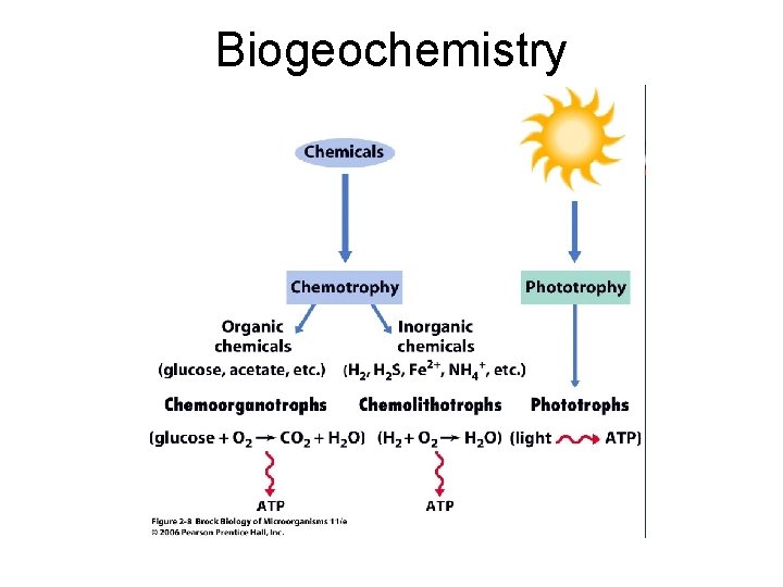 Biogeochemistry Biogeochemistry