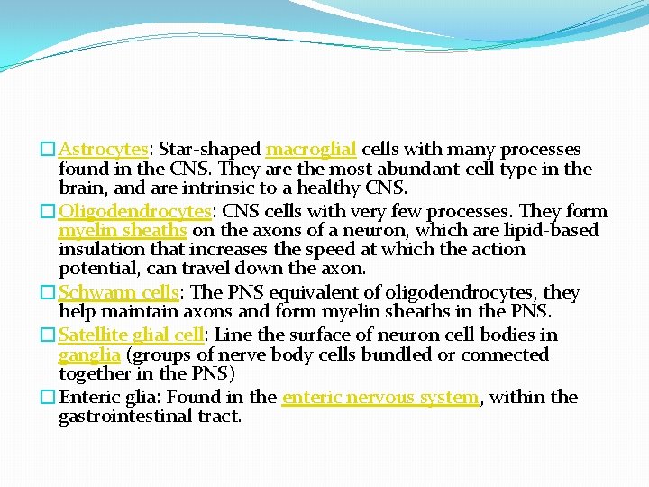 �Astrocytes: Star-shaped macroglial cells with many processes found in the CNS. They are the