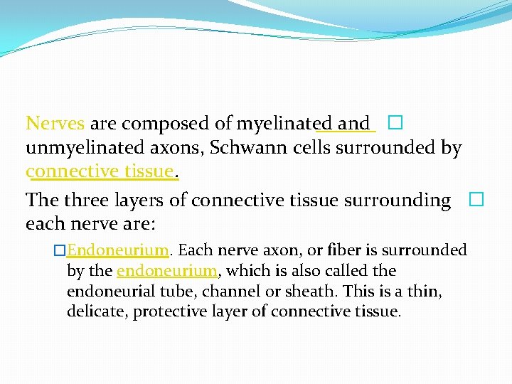 Nerves are composed of myelinated and � unmyelinated axons, Schwann cells surrounded by connective