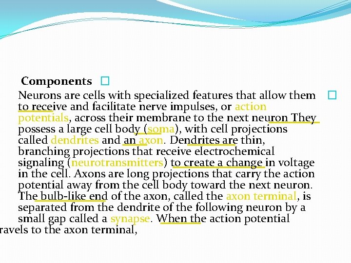 Components � Neurons are cells with specialized features that allow them � to receive
