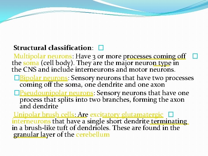 Structural classification: � Multipolar neurons: Have 3 or more processes coming off � the