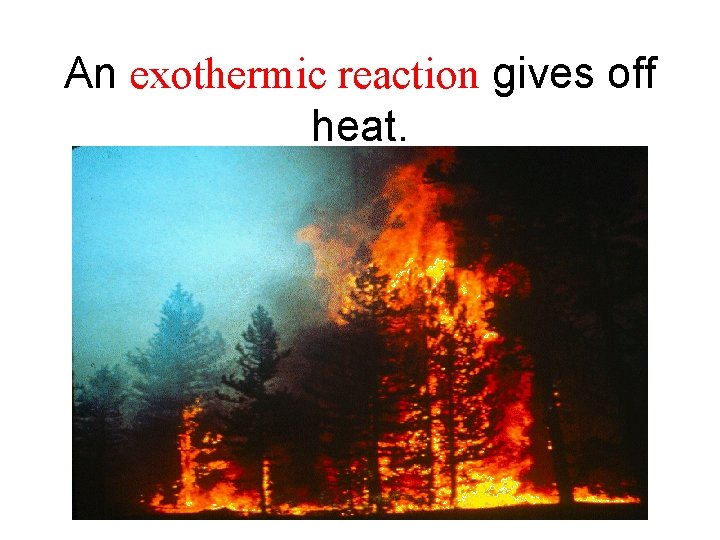 An exothermic reaction gives off heat. 