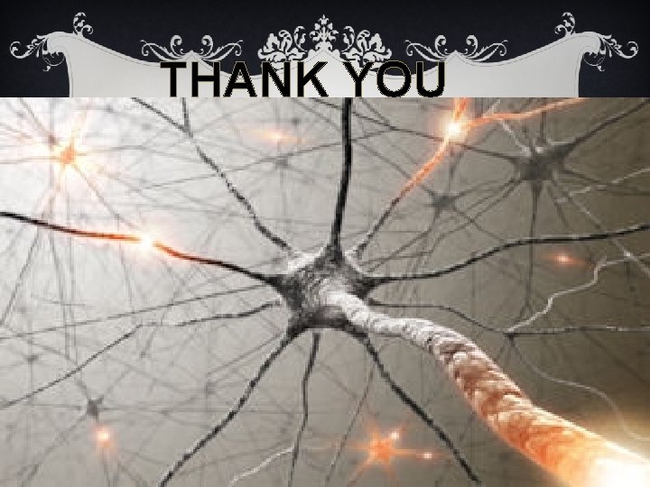 THANK YOU THANK YOU