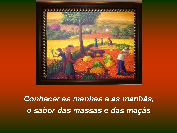 Conhecer as manhas e as manhãs, o sabor das massas e das maçãs 