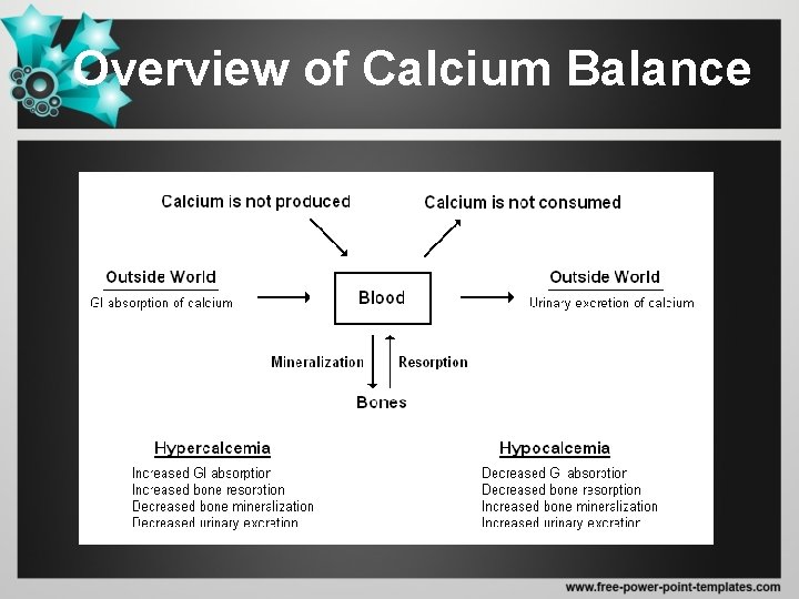 Overview of Calcium Balance 