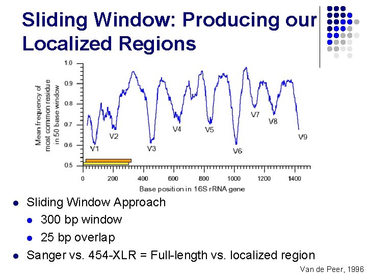 Sliding Window: Producing our Localized Regions l l Sliding Window Approach l 300 bp