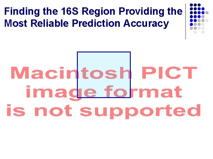 Finding the 16 S Region Providing the Most Reliable Prediction Accuracy 