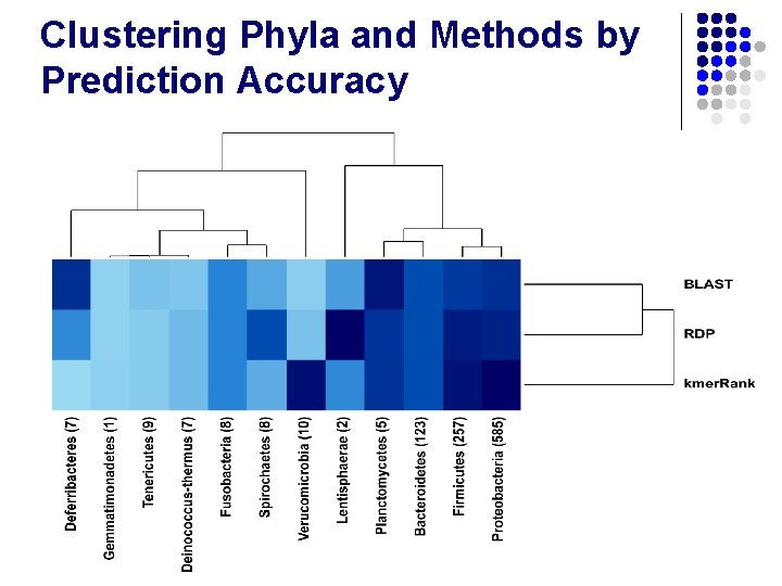 Clustering Phyla and Methods by Prediction Accuracy 