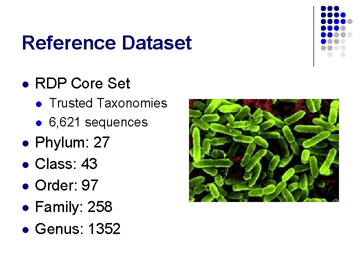 Reference Dataset l RDP Core Set l l l l Trusted Taxonomies 6, 621