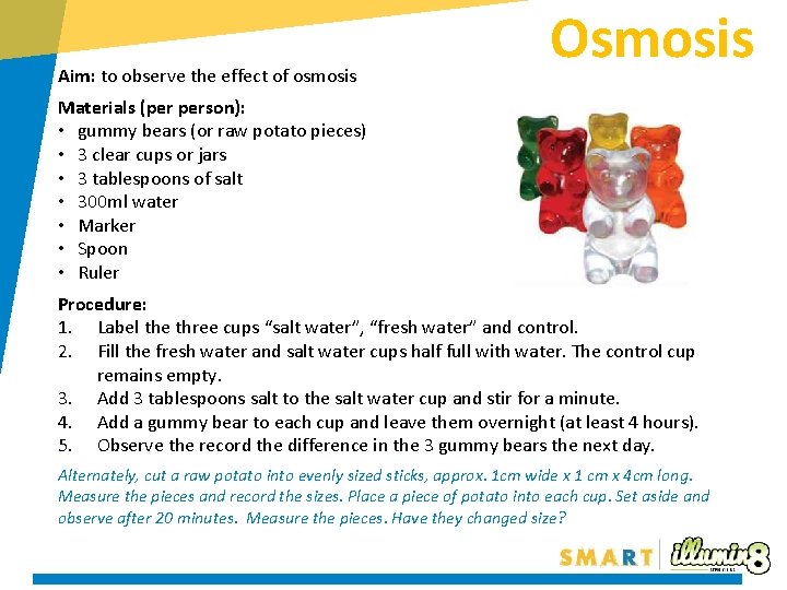 Aim: to observe the effect of osmosis Osmosis Materials (per person): • gummy bears