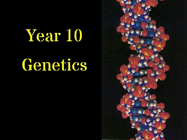 Year 10 Genetics 