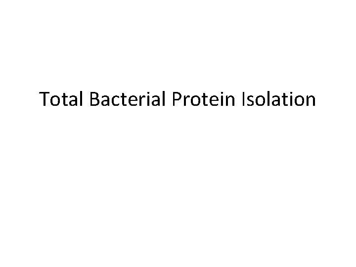 Total Bacterial Protein Isolation 