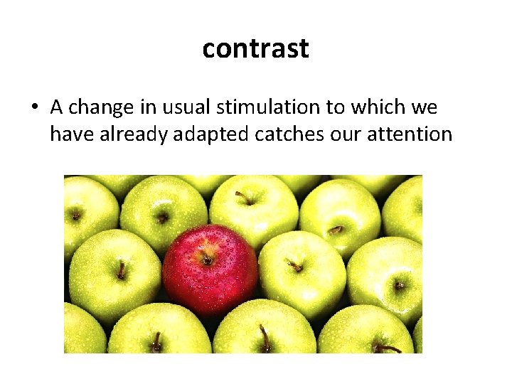 contrast • A change in usual stimulation to which we have already adapted catches