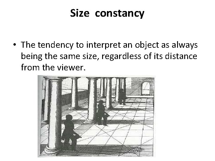 Size constancy • The tendency to interpret an object as always being the same