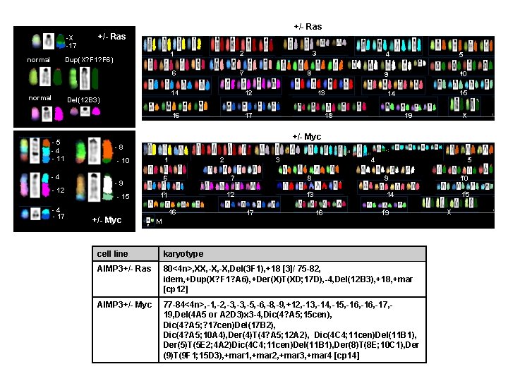 +/- Ras -X -17 +/- Ras Dup(X? F 1? F 6) normal - 5