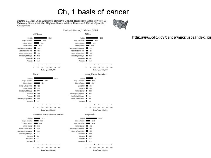 Ch. 1 basis of cancer http: //www. cdc. gov/cancer/npcr/uscs/index. htm 