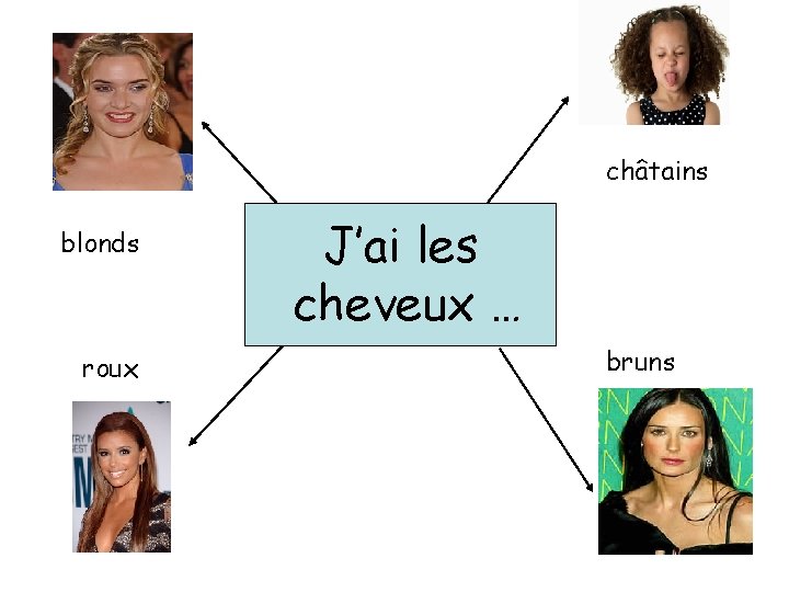 châtains blonds roux J’ai les cheveux … bruns 