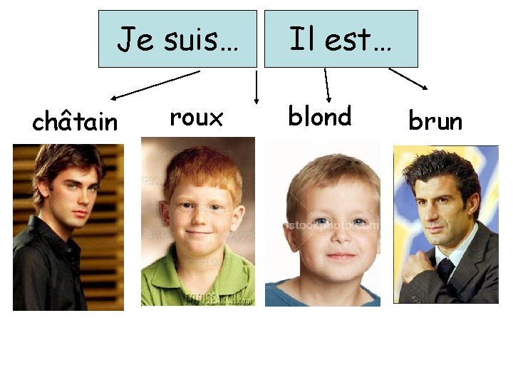 Je suis… châtain roux Il est… blond brun 