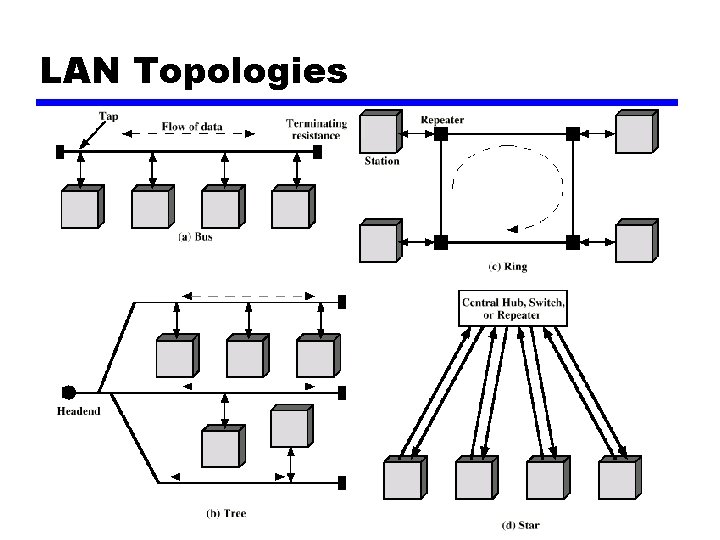 LAN Topologies 