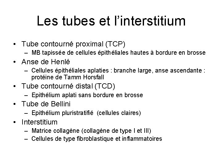 Les tubes et l’interstitium • Tube contourné proximal (TCP) – MB tapissée de cellules