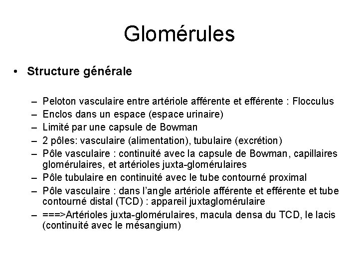 Glomérules • Structure générale – – – Peloton vasculaire entre artériole afférente et efférente