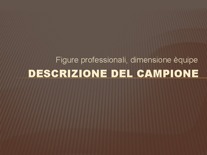 Figure professionali, dimensione èquipe DESCRIZIONE DEL CAMPIONE 