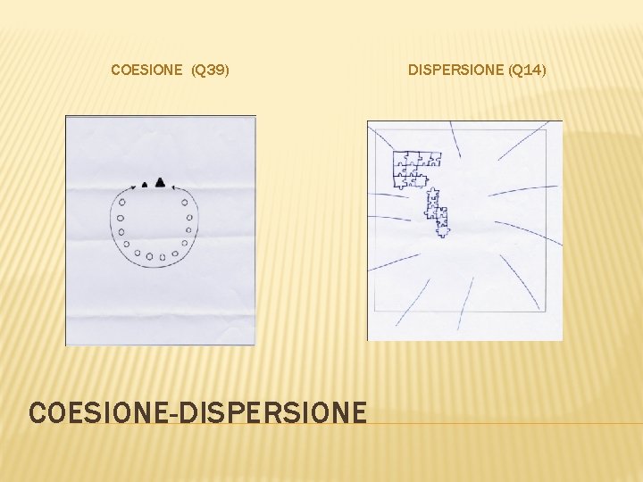 COESIONE (Q 39) COESIONE-DISPERSIONE (Q 14) 