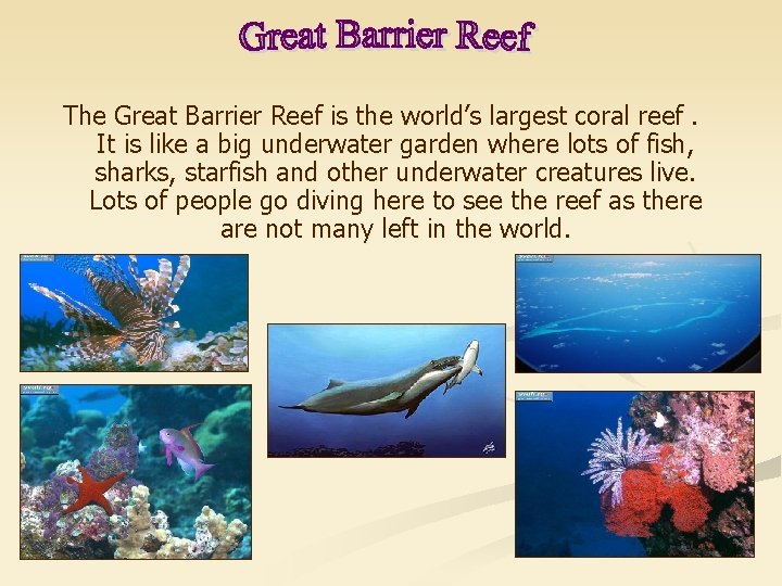 The Great Barrier Reef is the world’s largest coral reef. It is like a