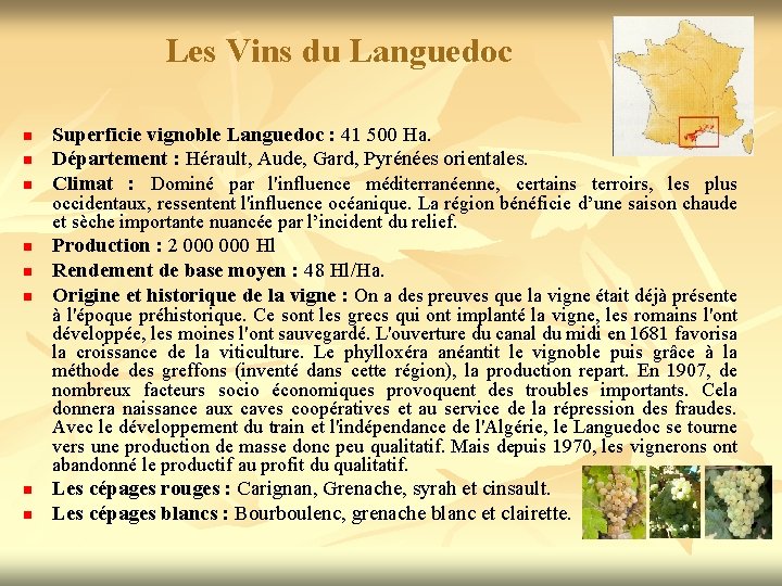 Les Vins du Languedoc n n n n Superficie vignoble Languedoc : 41 500