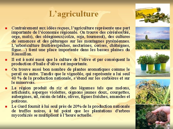 L’agriculture n n n Contrairement aux idées reçues, l’agriculture représente une part importante de