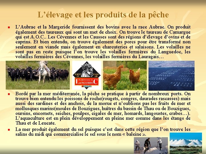 L’élevage et les produits de la pêche n n n L’Aubrac et la Margeride