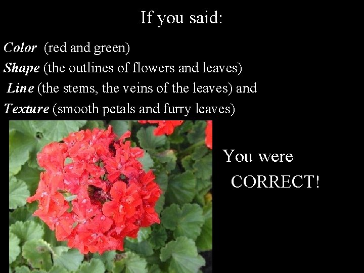 If you said: Color (red and green) Shape (the outlines of flowers and leaves)