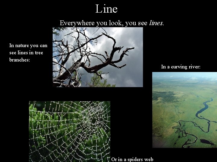 Line Everywhere you look, you see lines. In nature you can see lines in