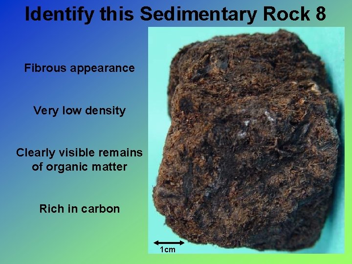 Identify this Sedimentary Rock 8 Fibrous appearance Very low density Clearly visible remains of