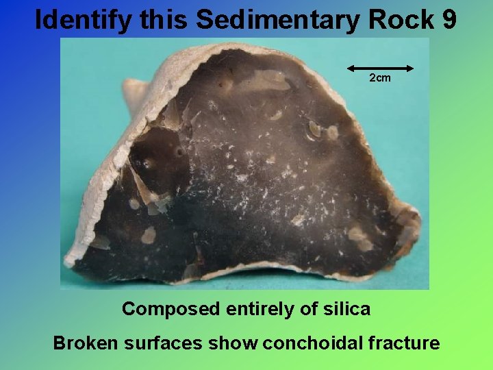 Identify this Sedimentary Rock 9 2 cm Composed entirely of silica Broken surfaces show