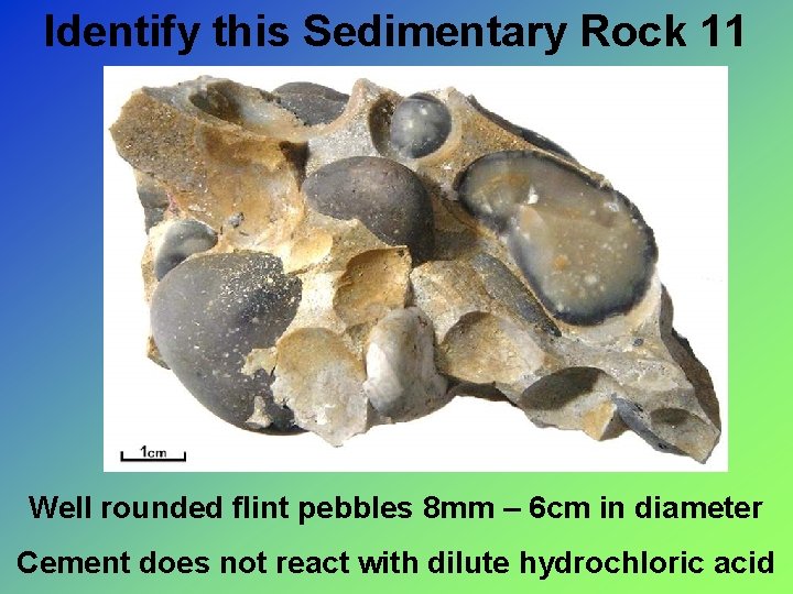 Identify this Sedimentary Rock 11 Well rounded flint pebbles 8 mm – 6 cm