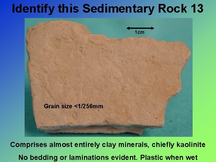 Identify this Sedimentary Rock 13 1 cm Grain size <1/256 mm Comprises almost entirely