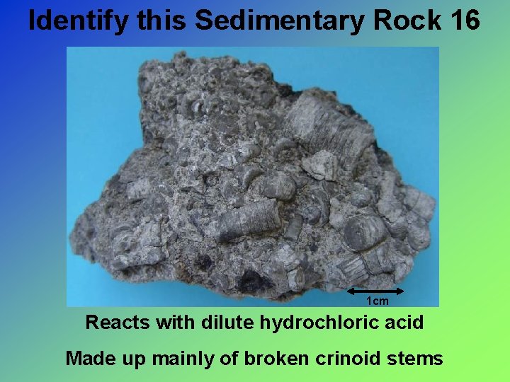 Identify this Sedimentary Rock 16 1 cm Reacts with dilute hydrochloric acid Made up