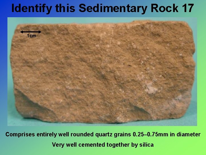 Identify this Sedimentary Rock 17 1 cm Comprises entirely well rounded quartz grains 0.