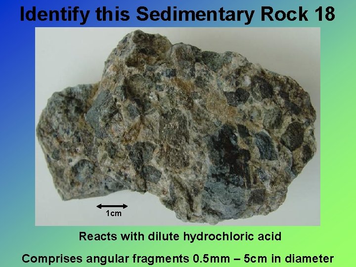 Identify this Sedimentary Rock 18 1 cm Reacts with dilute hydrochloric acid Comprises angular