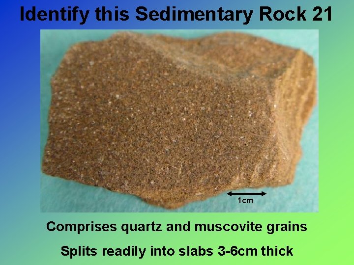 Identify this Sedimentary Rock 21 1 cm Comprises quartz and muscovite grains Splits readily