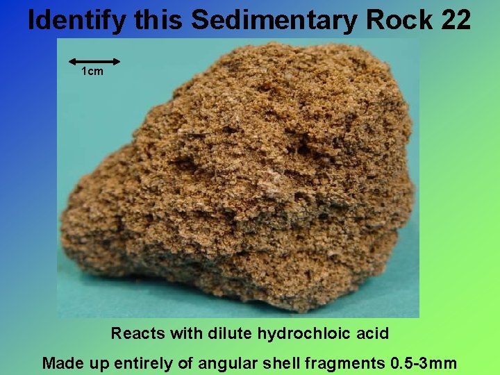 Identify this Sedimentary Rock 22 1 cm Reacts with dilute hydrochloic acid Made up
