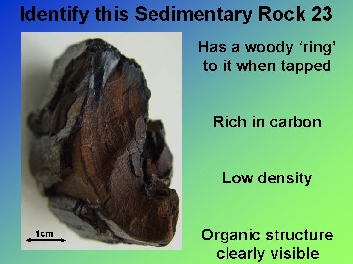 Identify this Sedimentary Rock 23 Has a woody ‘ring’ to it when tapped Rich