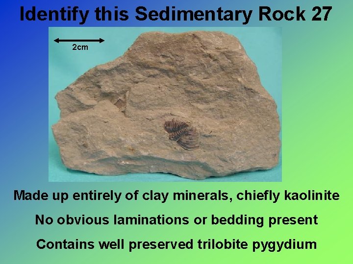 Identify this Sedimentary Rock 27 2 cm Made up entirely of clay minerals, chiefly