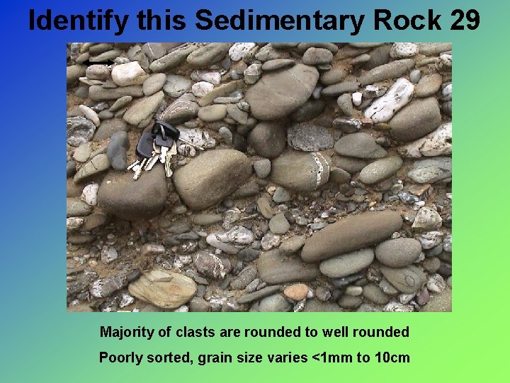 Identify this Sedimentary Rock 29 Majority of clasts are rounded to well rounded Poorly