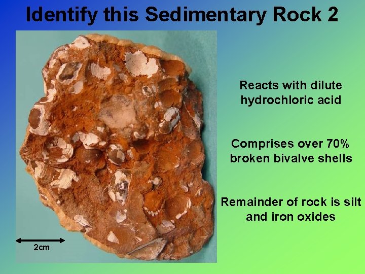 Identify this Sedimentary Rock 2 Reacts with dilute hydrochloric acid Comprises over 70% broken