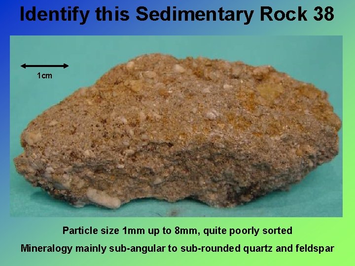 Identify this Sedimentary Rock 38 1 cm Particle size 1 mm up to 8