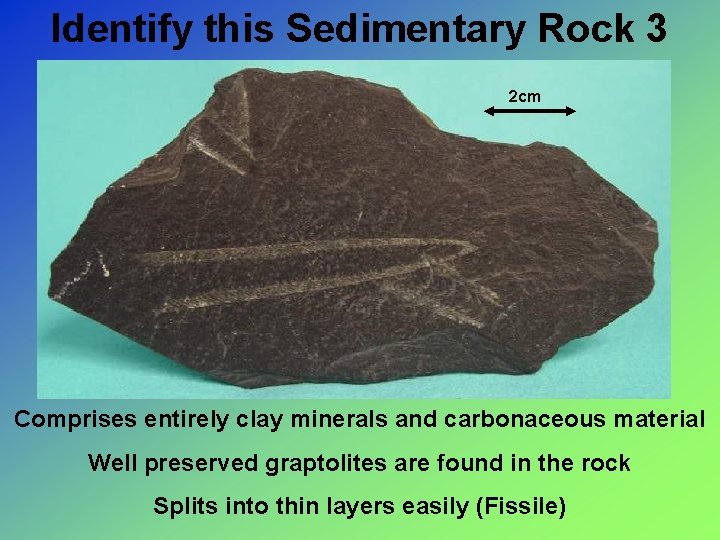 Identify this Sedimentary Rock 3 2 cm Comprises entirely clay minerals and carbonaceous material