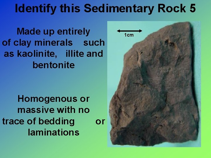 Identify this Sedimentary Rock 5 Made up entirely of clay minerals such as kaolinite,